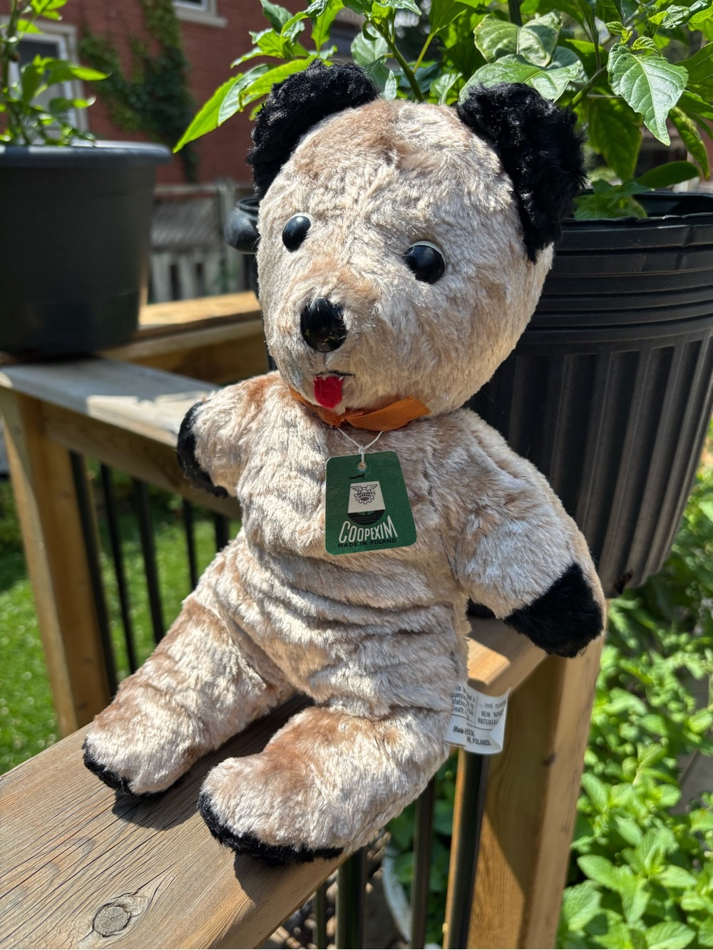 Vintage 1960s Coopexim Polish Teddy Bear – Rare "Sooty" Style Plush